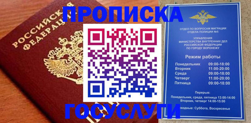 прописка для школы в Кировске